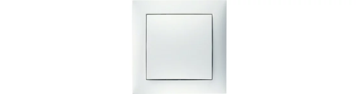 Berker S.1 Plastic, polar white matt Berker S.1 Plastic, polar white matt
