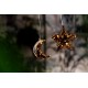 Christmas LED - Glass Moon with Light Chain “Morning Dew“ and 6h timer, 524710