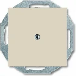 ABB Blank plate with metal mounting plate, ivory Basic55 2538-92-507
