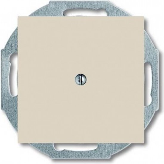 ABB Blank plate with metal mounting plate, ivory Basic55 2538-92-507