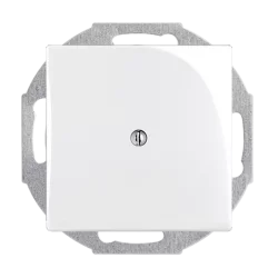 ABB Blank plate with metal mounting plate, white Basic55 2538-94-507