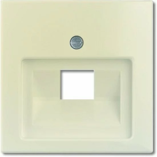 ABB Cover plate 1gang for 1xRJ45, ivory Basic55 1803-92-507 ABB Cover plate 1gang for 1xRJ45, ivory Basic55 1803-92-507