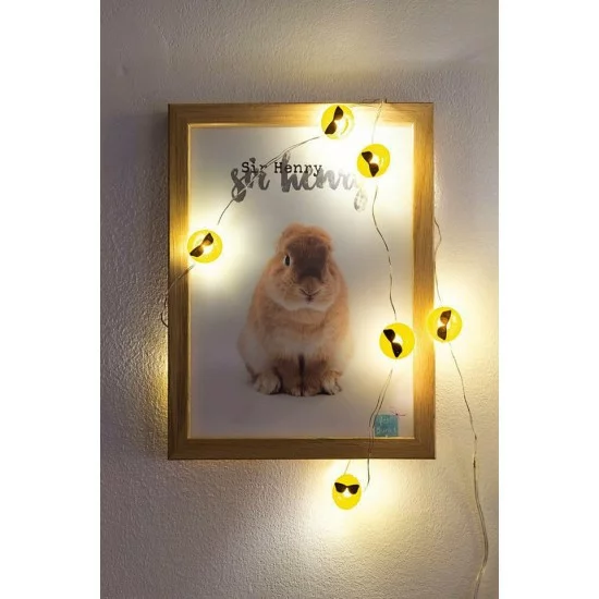 Christmas LED - Light Chain “ Cool“ Emoji, 522952 (1.2 m)