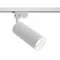 Maytoni light for 1-phase traks, white, TR011-1-GU10-W