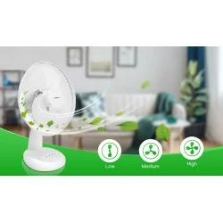 Portable table fan 35W, Louis 330100JTN