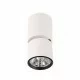 ITALUX потолочный светильник LED, 5W, 3000K, 300lm, Boniva SPL-2854-1-SC-WH ITALUX потолочный светильник LED, 5W, 3000K, 300lm, Boniva SPL-2854-1-SC-WH