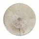 Maytoni Wandleuchte 1xE14x40W, Gold, Aster MOD007WL-01G Maytoni Wandleuchte 1xE14x40W, Gold, Aster MOD007WL-01G