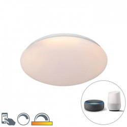 QAZQA Smart dimmable ceiling Lamp with LED RGB, 24W, 1800lm, compatible with Alexa and Google Home, Iene 103955
