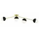 Viokef Ceiling Lamp 4xG9x40W, black, Orbit, 4221800 Viokef Ceiling Lamp 4xG9x40W, black, Orbit, 4221800