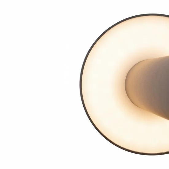 Maytoni Фонарь уличный (столб) Wald, LED, 12W, 1000lm, 3000K, IP65, графит, O420FL-L12GF Maytoni Фонарь уличный (столб) Wald, LED, 12W, 1000lm, 3000K, IP65, графит, O420FL-L12GF
