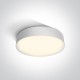 ONE LIGHT griestu GAISMEKLIS The IP65 Plafo 21W, LED, 67390/W/C