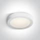 ONE LIGHT griestu GAISMEKLIS Panel Plafo Round 30W, LED, IP40, 62130F/W/C