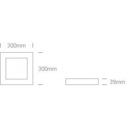 ONE LIGHT ceiling LAMP Panel Plafo Square 30W, LED, IP40, 62130AF/W/C