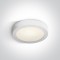 ONE LIGHT Deckenlampe Panel Plafo Round 15W, LED, IP40, 62115F/W/C