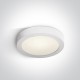 ONE LIGHT griestu GAISMEKLIS Panel Plafo Round 15W, LED, IP40, 62115F/W/C