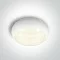 ONE LIGHT ceiling LAMP The IP65 CCT V Plafo 15W, LED, 67218/W/V