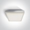 ONE LIGHT griestu GAISMEKLIS The E27 Plafo Outdoor Range 2x12W, IP65, 67282EA/W