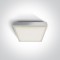 ONE LIGHT ceiling LAMP The E27 Plafo Outdoor Range 12W, IP65, 67282E/W