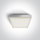 ONE LIGHT ceiling LAMP The E27 Plafo Outdoor Range 12W, IP65, 67282E/W