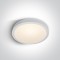 ONE LIGHT ceiling LAMP Die Cast Panel 40W, LED, IP40, 62140F/W/W