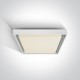 ONE LIGHT ceiling LAMP Outdoor Project 30W, LED, IP54, 67384A/W/W