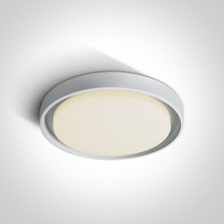 ONE LIGHT ceiling LAMP Outdoor Project 30W, LED, IP54, 67384/W/W