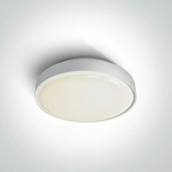 ONE LIGHT потолочный светильник Outdoor Round 24W, LED, IP65, 67280AN/W/W ONE LIGHT потолочный светильник Outdoor Round 24W, LED, IP65, 67280AN/W/W