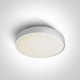 ONE LIGHT griestu GAISMEKLIS Outdoor Round 30W, LED, IP65, 67280BN/W/W