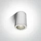 ONE LIGHT āra griestu gaismeklis 6W, LED, IP54, 67138C/W/W ONE LIGHT āra griestu gaismeklis 6W, LED, IP54, 67138C/W/W