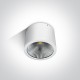 ONE LIGHT ceiling light COB 25W, LED, IP54, 67380A/W/W