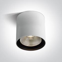 ONE LIGHT Deckenleuchte COB 40W, LED, IP65, 67516C/W/W