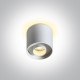 ONE LIGHT ceiling light Dark Light 8W, LED, IP20, 12108DB/W/W