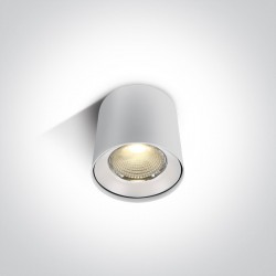 ONE LIGHT griestu gaismeklis The COB 15W, LED, IP20, 12115LA/W/W