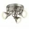 Searchlight CEILING LIGHT Focus 3xGU10x50W, 1543AB