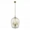 Searchlight Pendant Lamp Shower 5xE14x60W, 30216-5GO