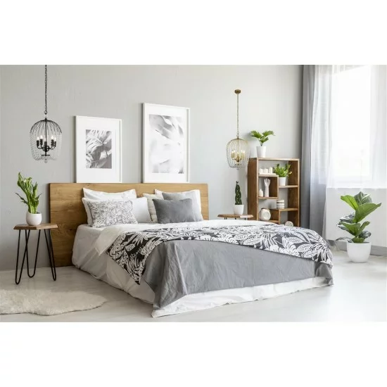 Searchlight Pendant Lamp Shower 5xE14x60W, 30216-5GO Searchlight Pendant Lamp Shower 5xE14x60W, 30216-5GO