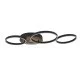Searchlight griestu lampa Curio LED 40W, 36305-1BK Searchlight griestu lampa Curio LED 40W, 36305-1BK