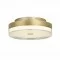 Searchlight потолочный светильник Cyprus LED 29W, 42651-40GO