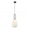 Searchlight pendant lamp Elixir, 1x60WxE27, 43581-1BK