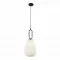 Searchlight pendant lamp Elixir, 1x60WxE27, 43581-1BK