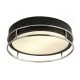 Searchlight griestu lampa Phoenix 2xE14x60W, 62012-2CC Searchlight griestu lampa Phoenix 2xE14x60W, 62012-2CC