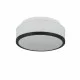 Searchlight ПОТОЛОЧНЫЙ СВЕТИЛЬНИК Cheese 2xE27x60W, 7039-23BK