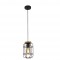 Searchlight piekaramā lampa Vision 1xE27x60W, 81953-1BK