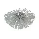 Searchlight sienas lampa Sunburst, 4xG9x33W, 83420-4CC