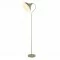 Searchlight floor lamp Xenon 1x10WxE27, EU60960TA