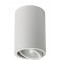 BEMKO ceiling adjustable lamp downlight ULTER 1xGU10x50W, white