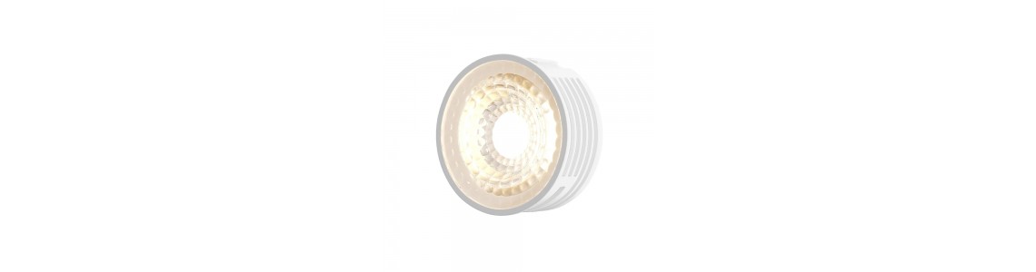 LED Modules