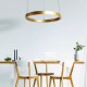 Searchlight pendant lamp Layla with gesture control 40.88W, LED, 30411GO