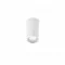 FARO outdoor ceiling light Olot 71372