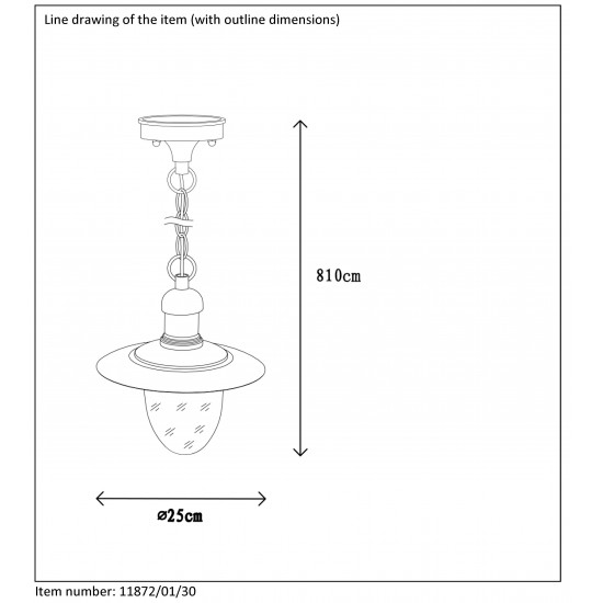 Lucide outdoor suspension lamp Aruba 11872/01/30